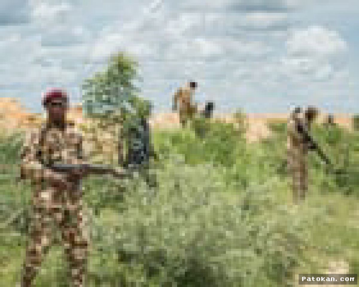 Video Viral Tunjukkan 600 Warga Disandera Usai Serangan Masjid Nigeria