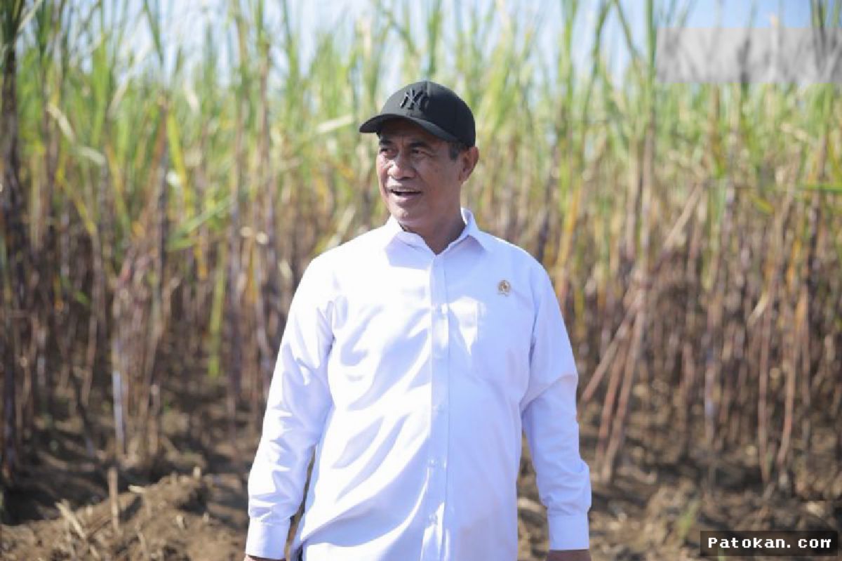 Jakarta — Menteri Pertanian (Mentan) Andi Amran Sulaiman menegaskan kesiapan Kementerian Pertanian