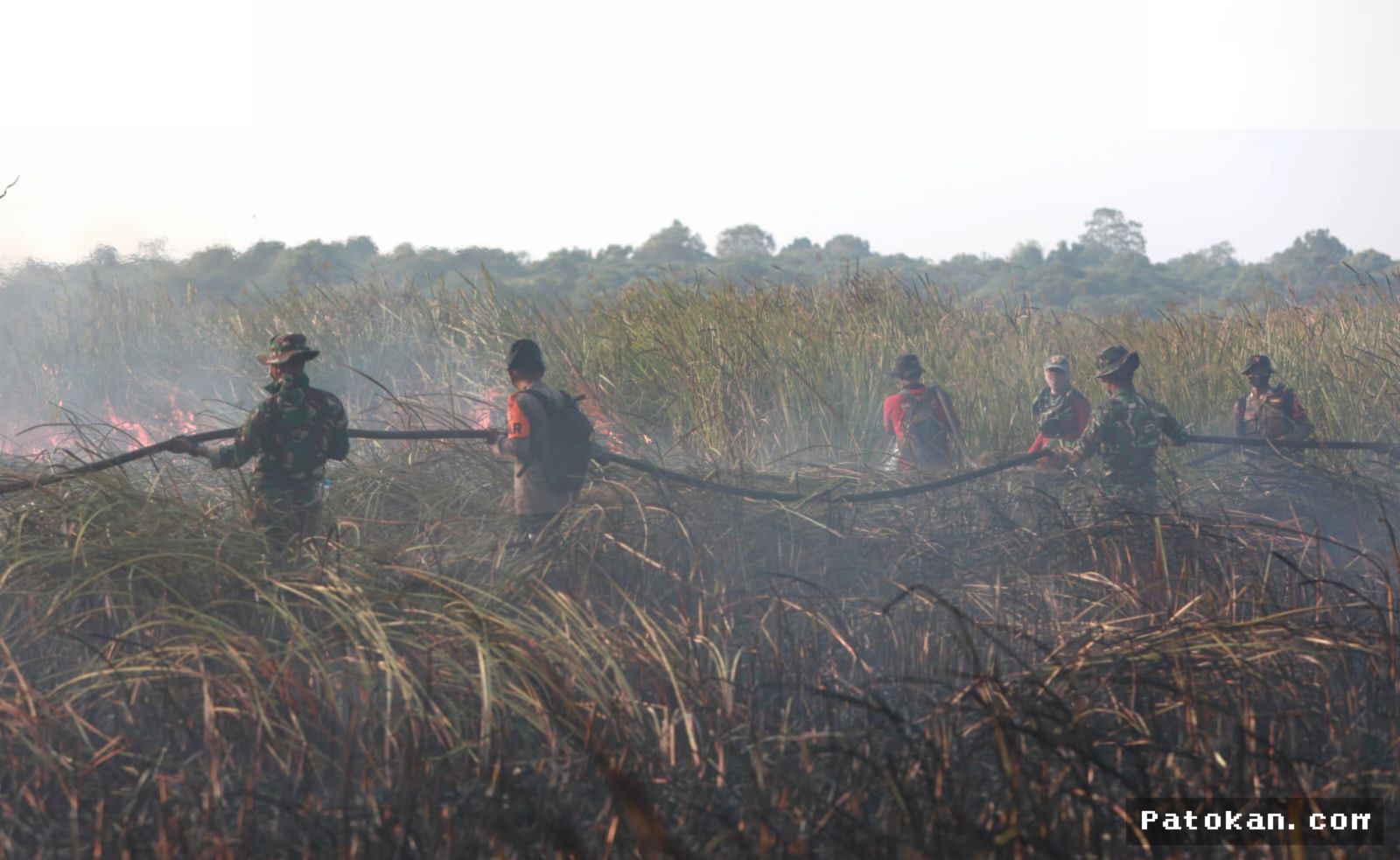 Tim Alfa TNI Diturunkan Padamkan 79 Titik Panas di Way Kambas